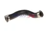 Ladeluftschlauch BOGAP B1711138 Bild Ladeluftschlauch BOGAP B1711138