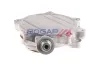 Unterdruckpumpe, Bremsanlage BOGAP B1916101 Bild Unterdruckpumpe, Bremsanlage BOGAP B1916101