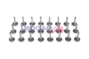 Ölwanne, Automatikgetriebe BOGAP B2125101 Bild Ölwanne, Automatikgetriebe BOGAP B2125101