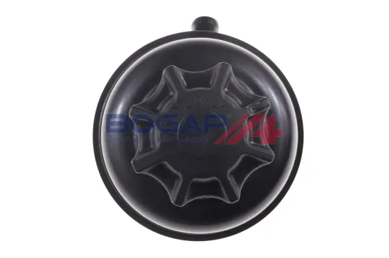 Ausgleichsbehälter, Hydrauliköl (Servolenkung) BOGAP B3216101 Bild Ausgleichsbehälter, Hydrauliköl (Servolenkung) BOGAP B3216101