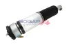 Luftfederbein hinten links BOGAP B3426123 Bild Luftfederbein hinten links BOGAP B3426123