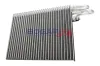 Verdampfer, Klimaanlage BOGAP B4124101 Bild Verdampfer, Klimaanlage BOGAP B4124101