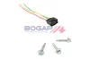 Wasserpumpe, Motorkühlung BOGAP B4232110 Bild Wasserpumpe, Motorkühlung BOGAP B4232110