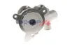 Wasserpumpe, Motorkühlung BOGAP B4234104 Bild Wasserpumpe, Motorkühlung BOGAP B4234104