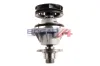 Wasserpumpe, Motorkühlung BOGAP B4234110 Bild Wasserpumpe, Motorkühlung BOGAP B4234110