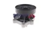 Wasserpumpe, Motorkühlung BOGAP B4234135 Bild Wasserpumpe, Motorkühlung BOGAP B4234135