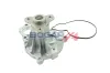Wasserpumpe, Motorkühlung BOGAP B4234141 Bild Wasserpumpe, Motorkühlung BOGAP B4234141