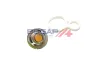Thermostat, Kühlmittel BOGAP B4245102