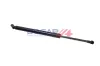 Gasfeder, Koffer-/Laderaum hinten BOGAP B5260175