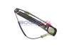 Fensterheber hinten links BOGAP B5341126 Bild Fensterheber hinten links BOGAP B5341126