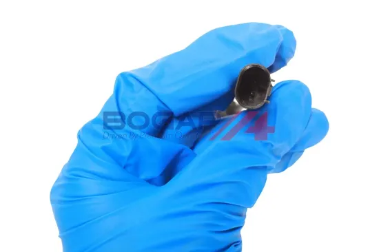 Sensor, Raddrehzahl Hinterachse rechts Hinterachse links BOGAP B7117152 Bild Sensor, Raddrehzahl Hinterachse rechts Hinterachse links BOGAP B7117152