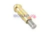Spanner, Steuerkette BOGAP C1312100 Bild Spanner, Steuerkette BOGAP C1312100