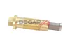Spanner, Steuerkette BOGAP C1312100 Bild Spanner, Steuerkette BOGAP C1312100