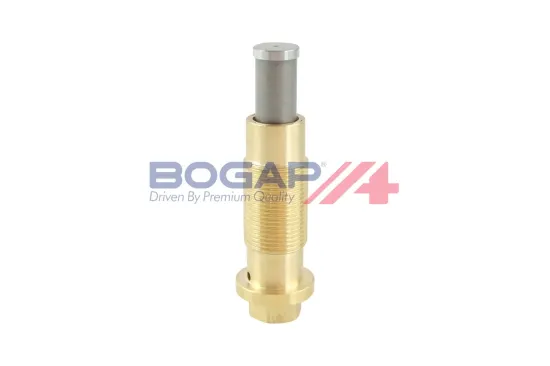 Spanner, Steuerkette BOGAP C1312100 Bild Spanner, Steuerkette BOGAP C1312100