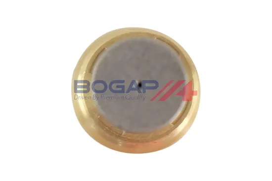 Spanner, Steuerkette BOGAP C1312100 Bild Spanner, Steuerkette BOGAP C1312100