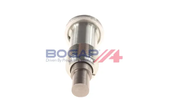 Spanner, Steuerkette BOGAP C1312104 Bild Spanner, Steuerkette BOGAP C1312104