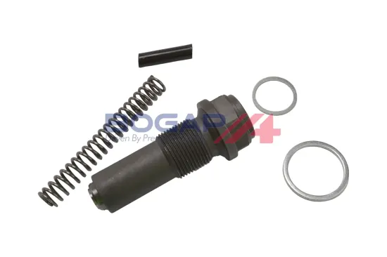 Spanner, Steuerkette BOGAP C1312111 Bild Spanner, Steuerkette BOGAP C1312111