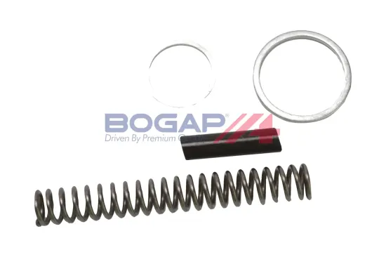 Spanner, Steuerkette BOGAP C1312111 Bild Spanner, Steuerkette BOGAP C1312111