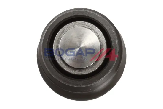 Spanner, Steuerkette BOGAP C1312118 Bild Spanner, Steuerkette BOGAP C1312118