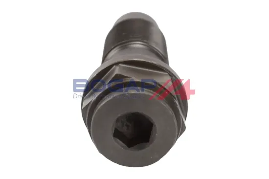 Spanner, Steuerkette BOGAP C1312118 Bild Spanner, Steuerkette BOGAP C1312118