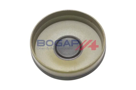 Steuerkettensatz BOGAP C1328118 Bild Steuerkettensatz BOGAP C1328118