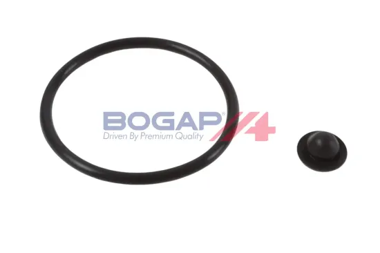 Zentralmagnet, Nockenwellenverstellung Einlassseite Auslassseite BOGAP C1362100 Bild Zentralmagnet, Nockenwellenverstellung Einlassseite Auslassseite BOGAP C1362100