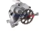 Ölpumpe BOGAP C1410106 Bild Ölpumpe BOGAP C1410106