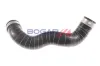 Ladeluftschlauch BOGAP C1711102 Bild Ladeluftschlauch BOGAP C1711102