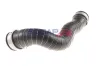 Ladeluftschlauch BOGAP C1711104 Bild Ladeluftschlauch BOGAP C1711104