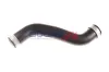 Ladeluftschlauch BOGAP C1711129 Bild Ladeluftschlauch BOGAP C1711129