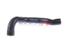 Ladeluftschlauch BOGAP C1711133 Bild Ladeluftschlauch BOGAP C1711133