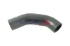 Ladeluftschlauch BOGAP C1711134 Bild Ladeluftschlauch BOGAP C1711134