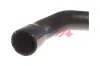 Ladeluftschlauch BOGAP C1711147 Bild Ladeluftschlauch BOGAP C1711147