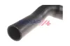 Ladeluftschlauch BOGAP C1711147 Bild Ladeluftschlauch BOGAP C1711147