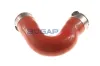 Ladeluftschlauch BOGAP C1711170 Bild Ladeluftschlauch BOGAP C1711170