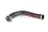 Ladeluftschlauch BOGAP C1711175 Bild Ladeluftschlauch BOGAP C1711175