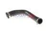 Ladeluftschlauch BOGAP C1711175 Bild Ladeluftschlauch BOGAP C1711175