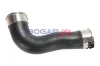 Ladeluftschlauch BOGAP C1711195 Bild Ladeluftschlauch BOGAP C1711195