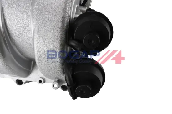 Saugrohrmodul BOGAP C1712107 Bild Saugrohrmodul BOGAP C1712107
