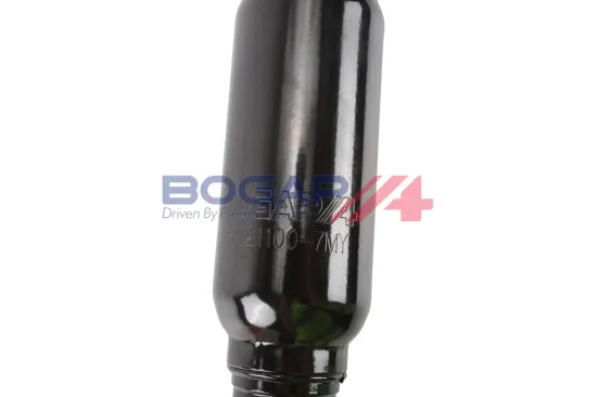 Lenkungsdämpfer BOGAP C3221100 Bild Lenkungsdämpfer BOGAP C3221100