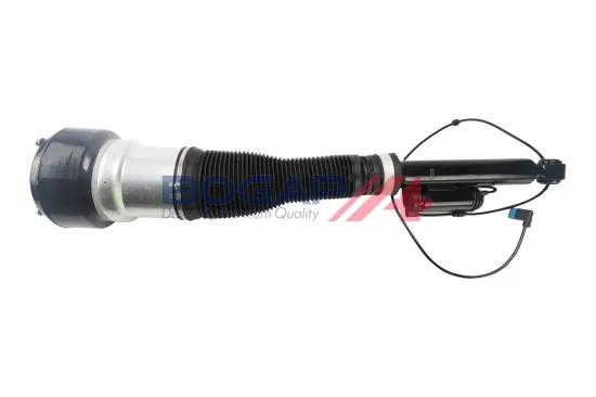Luftfederbein hinten links BOGAP C3426109 Bild Luftfederbein hinten links BOGAP C3426109