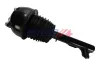 Luftfederbein vorne links BOGAP C3426147 Bild Luftfederbein vorne links BOGAP C3426147