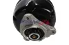 Luftfederbein vorne links BOGAP C3426147 Bild Luftfederbein vorne links BOGAP C3426147