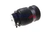 Luftfeder, Fahrwerk hinten links BOGAP C3432107 Bild Luftfeder, Fahrwerk hinten links BOGAP C3432107