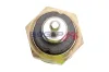 Sensor, Kühlmitteltemperatur BOGAP C4126116 Bild Sensor, Kühlmitteltemperatur BOGAP C4126116