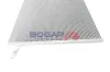 Kühler, Motorkühlung BOGAP C4210245 Bild Kühler, Motorkühlung BOGAP C4210245