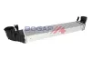 Ladeluftkühler BOGAP C4220102 Bild Ladeluftkühler BOGAP C4220102