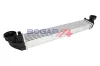 Ladeluftkühler BOGAP C4220104 Bild Ladeluftkühler BOGAP C4220104