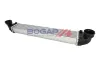 Ladeluftkühler BOGAP C4220104 Bild Ladeluftkühler BOGAP C4220104