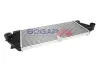 Ladeluftkühler BOGAP C4220124 Bild Ladeluftkühler BOGAP C4220124